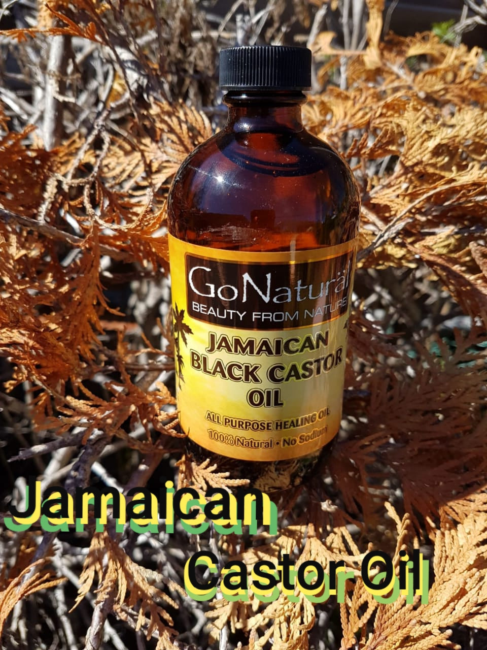 Body Oil in Skin Care