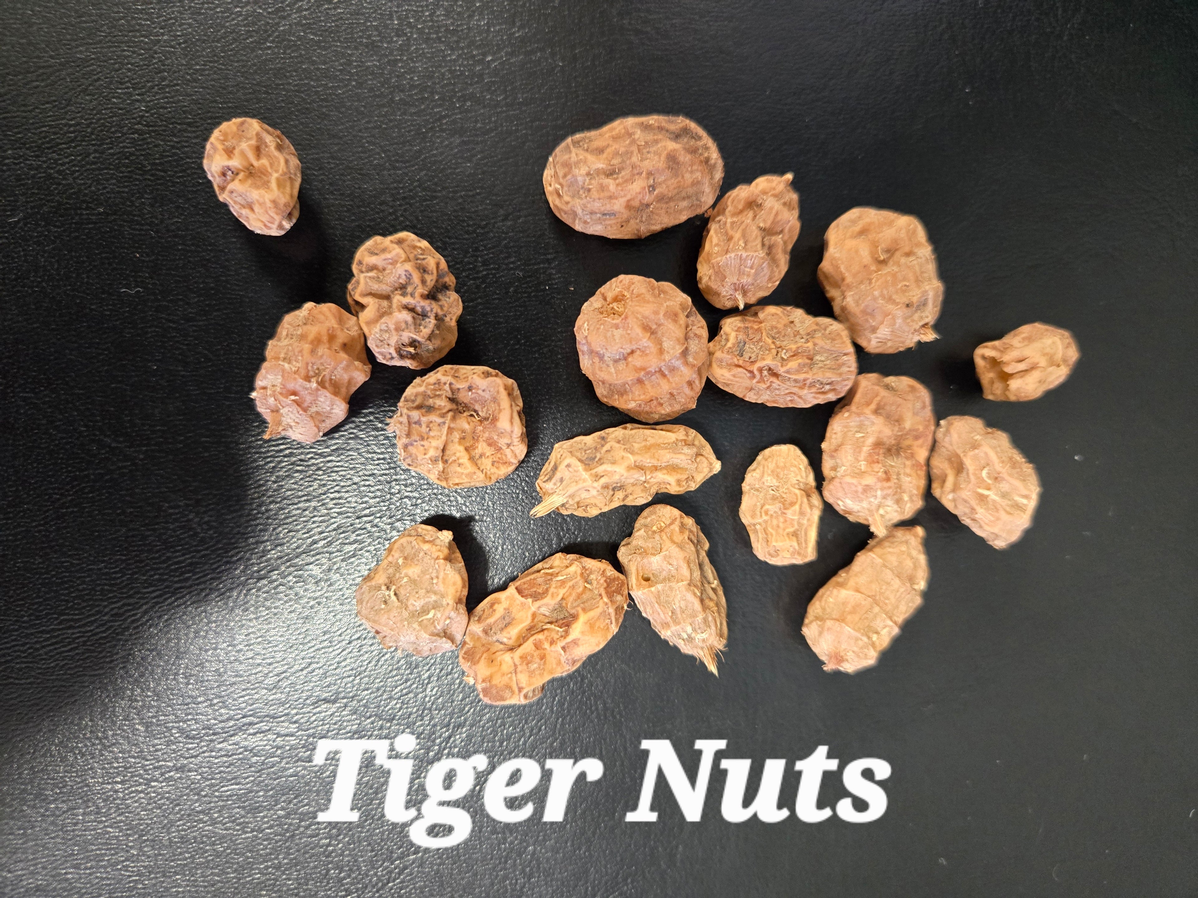 Energetic Vitality Earthnuts